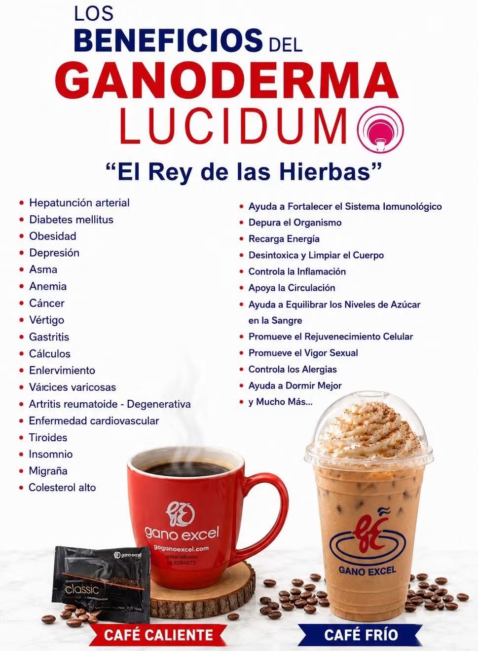 Infograf&iacute;a Ganoderma Lucidum
